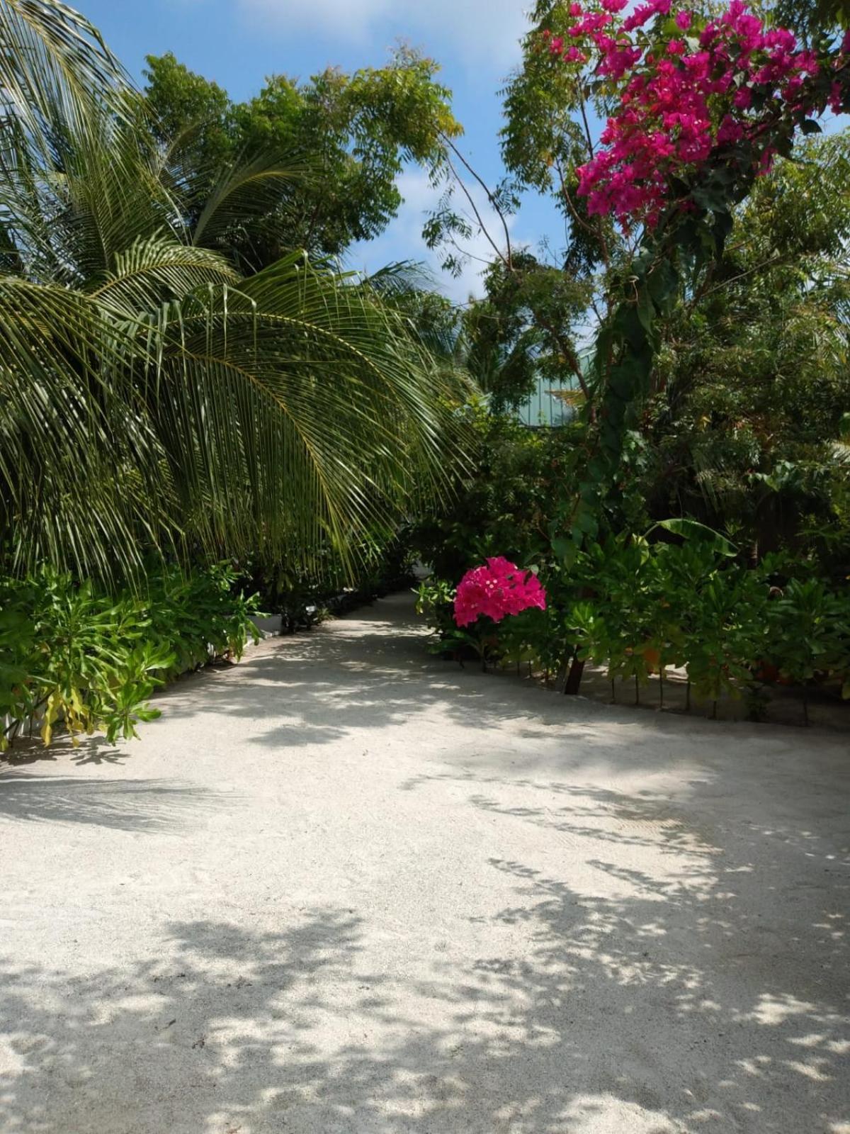 Sunrise Inn Thoddoo Luaran gambar