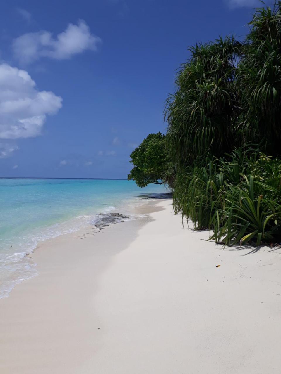 Sunrise Inn Thoddoo Luaran gambar